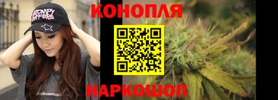 крисы Гусев