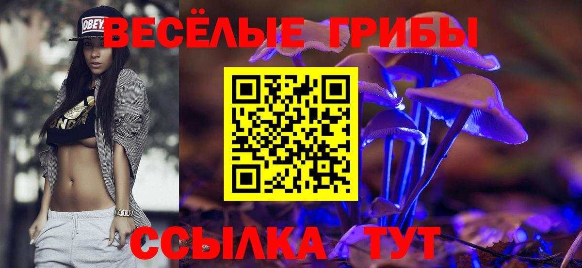 где можно купить наркотик  Галлюциногенные грибы прущие грибы  Вход с VPN  Псилоцибиновые грибы Psilocybine cubensis  Нефтекумск 